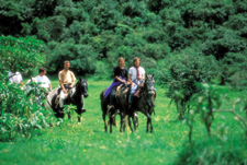 Ecuador-Highlands-Andean Mountain Ride